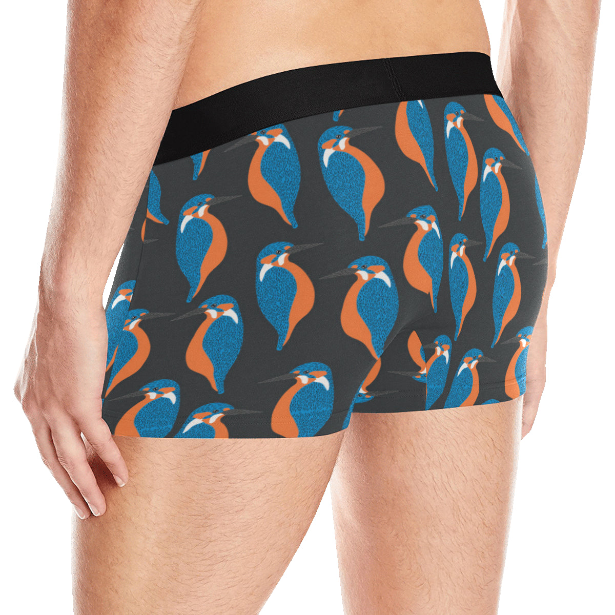 Kingfisher Pattern Print Design 03 Men's Boxer Briefs