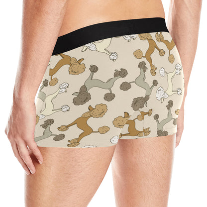 Poodle Pattern Print Design A01 Men's Boxer Briefs