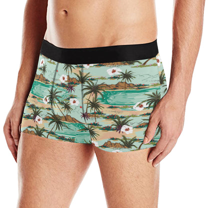 Pacific island Pattern Print Design A03 Men's Boxer Briefs