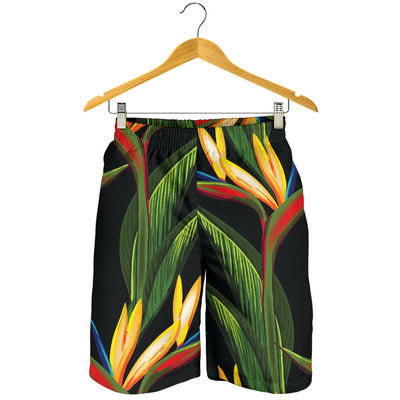 Bird Of Paradise Pattern Print Design BOP012 Mens Shorts