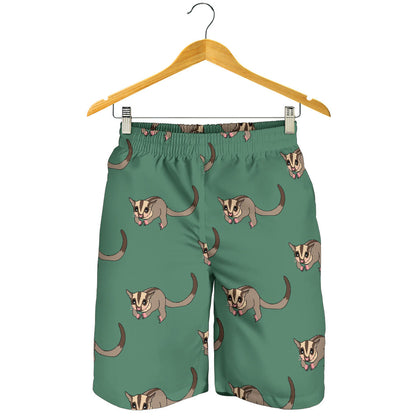 Sugar Glider Pattern Print Design 01 Mens Shorts