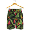 Bird Of Paradise Pattern Print Design BOP010 Mens Shorts