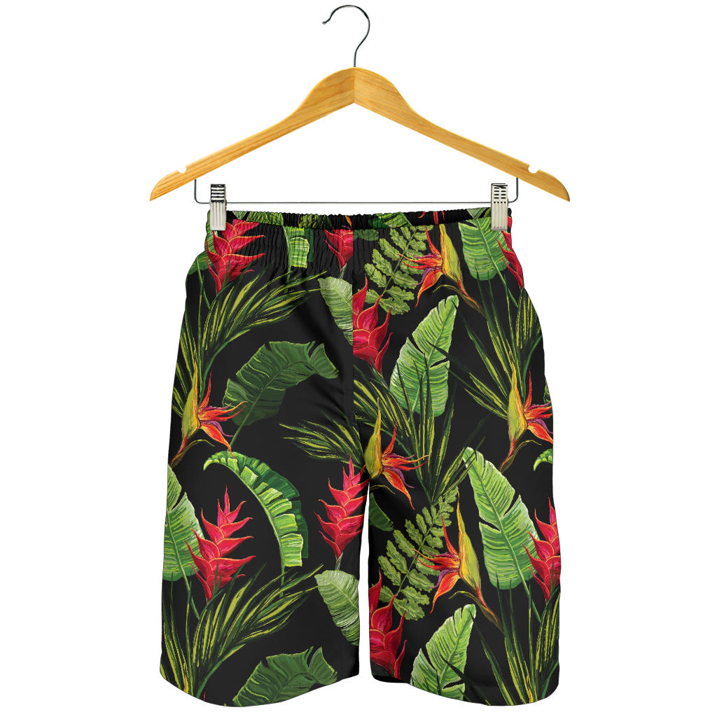 Bird Of Paradise Pattern Print Design BOP010 Mens Shorts