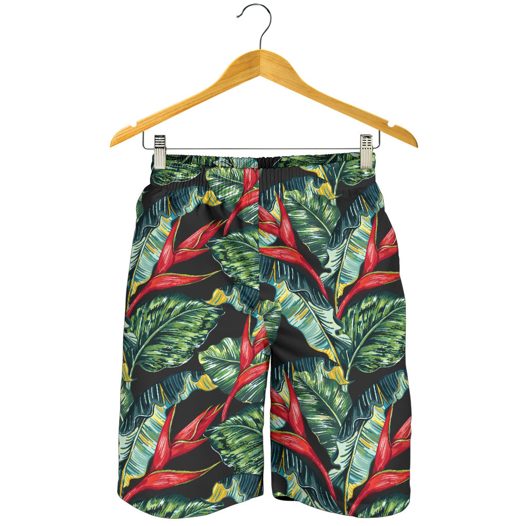 Bird Of Paradise Pattern Print Design BOP06 Mens Shorts