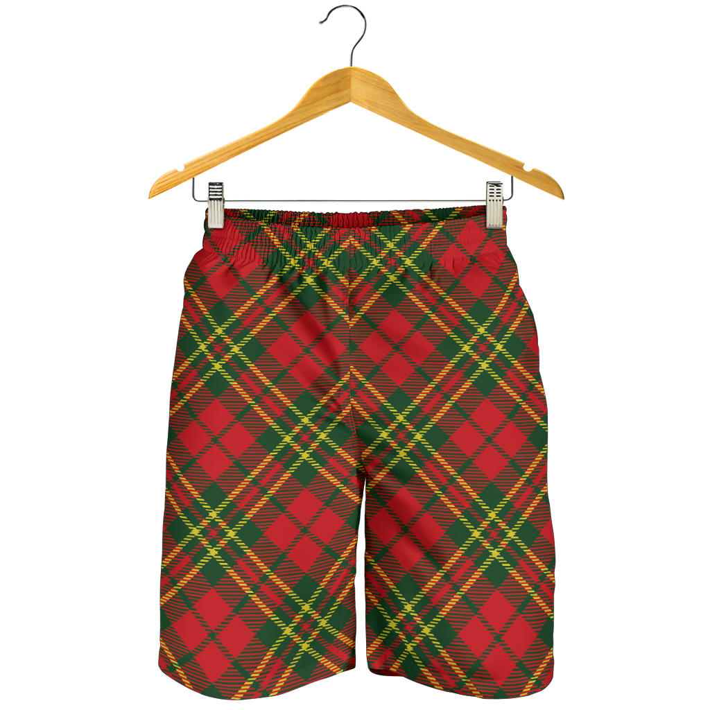 Plaid Holiday Pattern Print Design A01 Mens Shorts