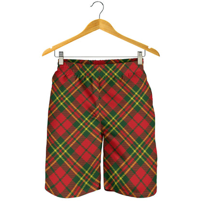 Plaid Holiday Pattern Print Design A01 Mens Shorts