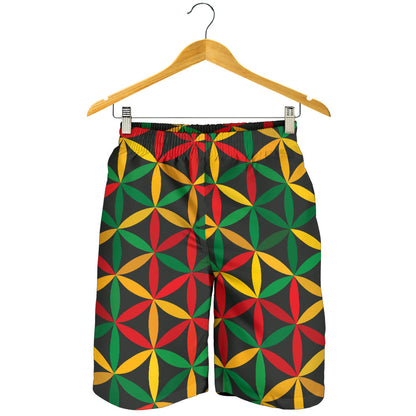 Rasta Pattern Print Design A04 Mens Shorts