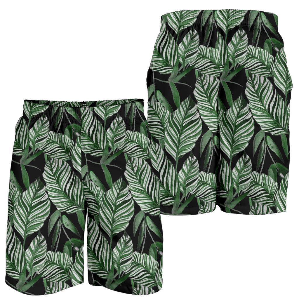 Palm Leaves Pattern Print Design PL09 Mens Shorts