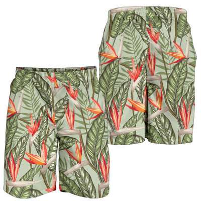 Bird Of Paradise Pattern Print Design BOP08 Mens Shorts