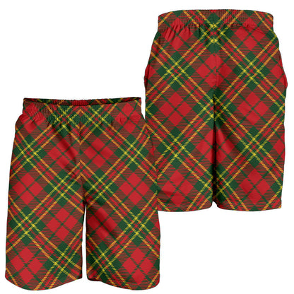 Plaid Holiday Pattern Print Design A01 Mens Shorts