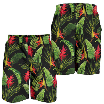 Bird Of Paradise Pattern Print Design BOP010 Mens Shorts