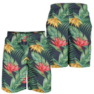 Bird Of Paradise Pattern Print Design BOP09 Mens Shorts