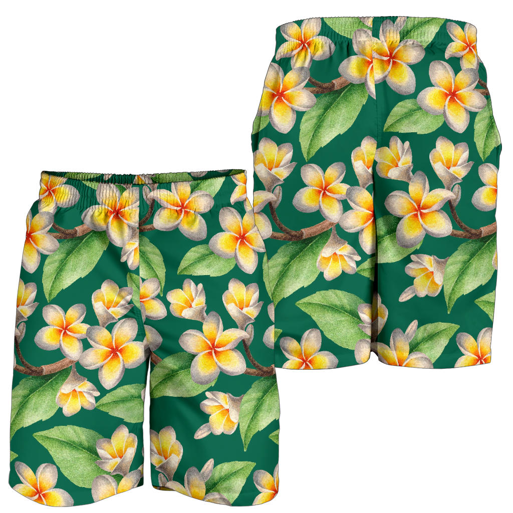 Plumeria Pattern Print Design PM07 Mens Shorts