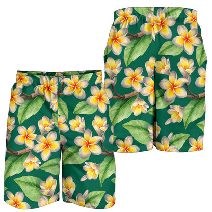 Plumeria Pattern Print Design PM07 Mens Shorts