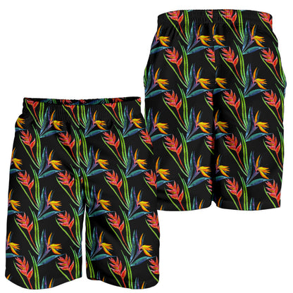 Heliconia Pattern Print Design HL04 Mens Shorts