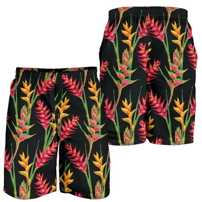 Heliconia Pattern Print Design HL01 Mens Shorts