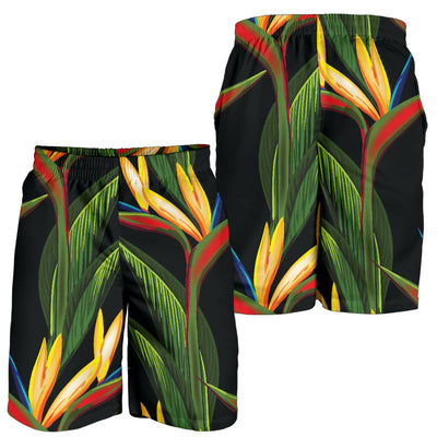 Bird Of Paradise Pattern Print Design BOP012 Mens Shorts