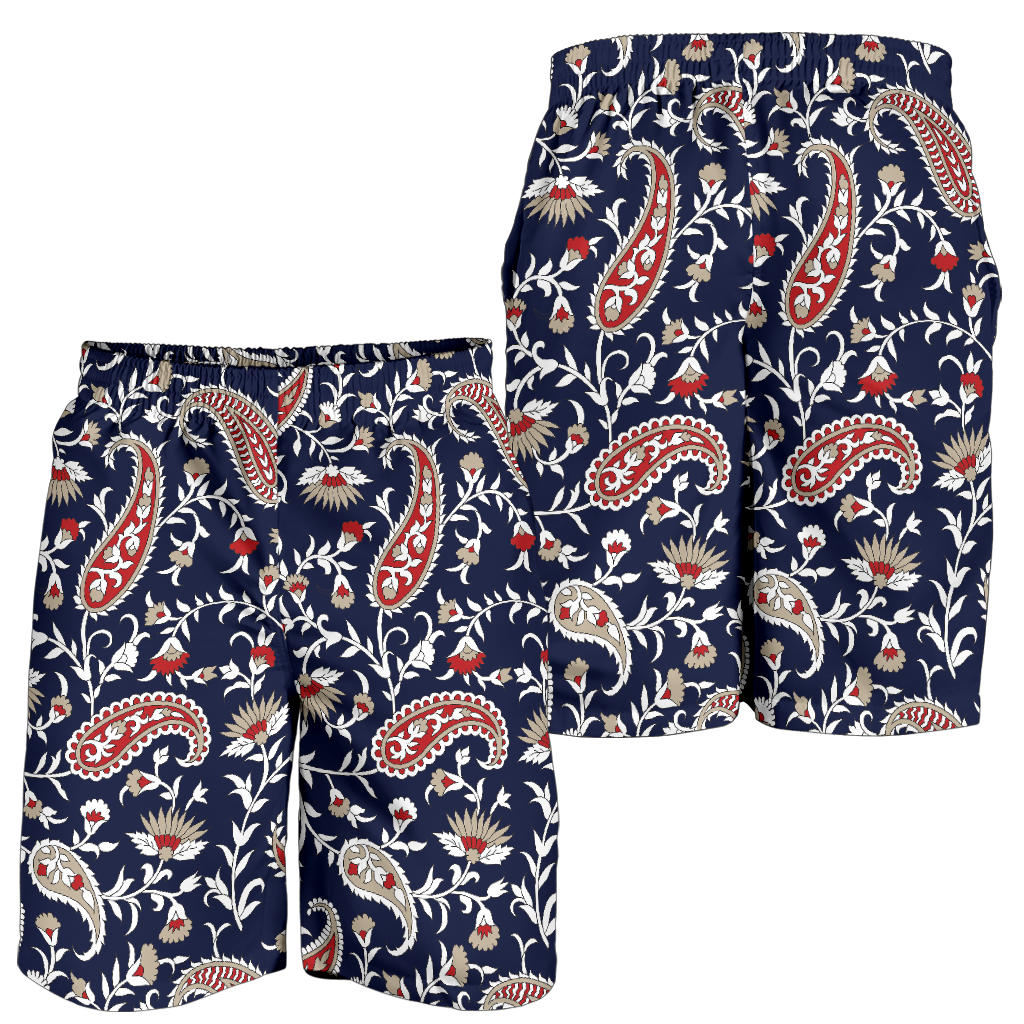 Paisley Pattern Print Design A05 Mens Shorts