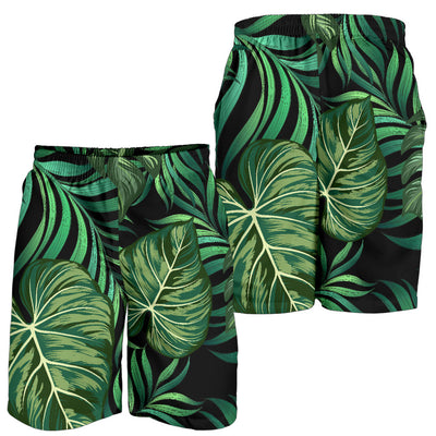 Green Fresh Tropical Palm Leaves Mens Shorts