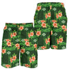 Hibiscus Pattern Print Design HB05 Mens Shorts