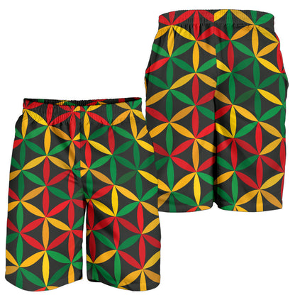 Rasta Pattern Print Design A04 Mens Shorts