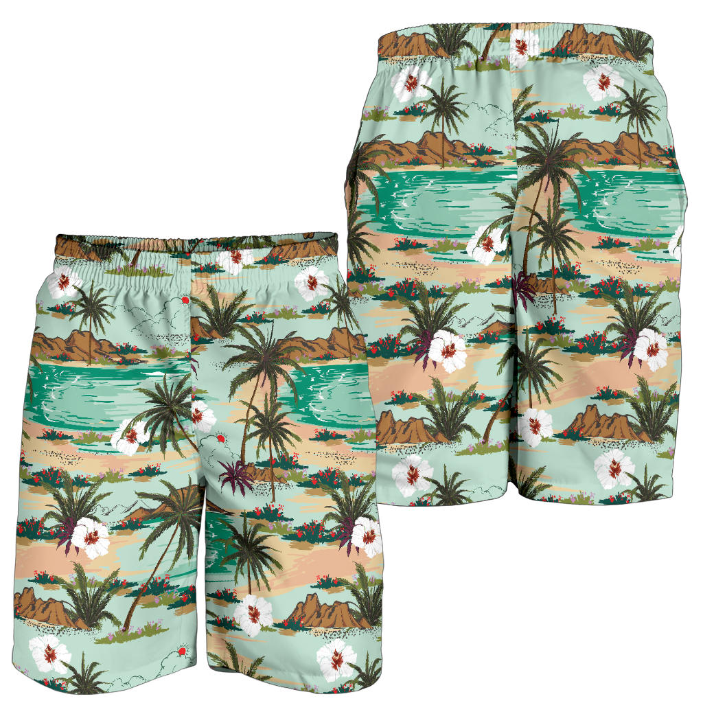 Pacific island Pattern Print Design A03 Mens Shorts