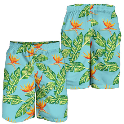 Bird Of Paradise Pattern Print Design BOP04 Mens Shorts