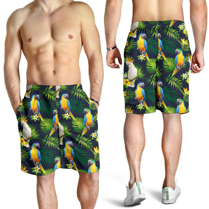 Parrot Pattern Print Design A03 Mens Shorts