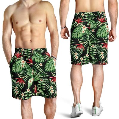 Bird Of Paradise Pattern Print Design BOP05 Mens Shorts