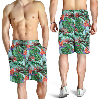 Bird Of Paradise Pattern Print Design BOP01 Mens Shorts