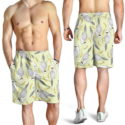 Parakeet Pattern Print Design A03 Mens Shorts