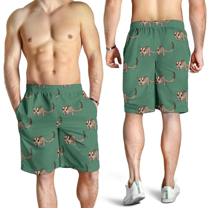 Sugar Glider Pattern Print Design 01 Mens Shorts