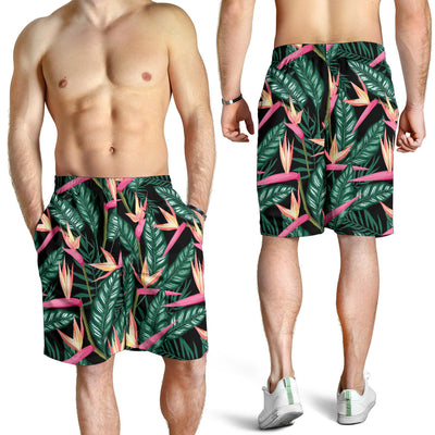 Bird Of Paradise Pattern Print Design BOP03 Mens Shorts