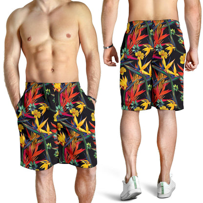 Bird Of Paradise Pattern Print Design BOP016 Mens Shorts