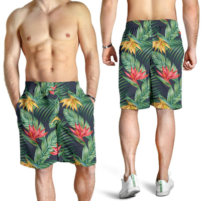 Bird Of Paradise Pattern Print Design BOP09 Mens Shorts