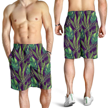 Palm Leaves Pattern Print Design PL03 Mens Shorts