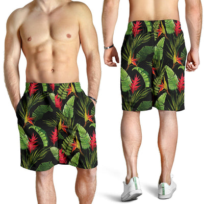 Bird Of Paradise Pattern Print Design BOP010 Mens Shorts