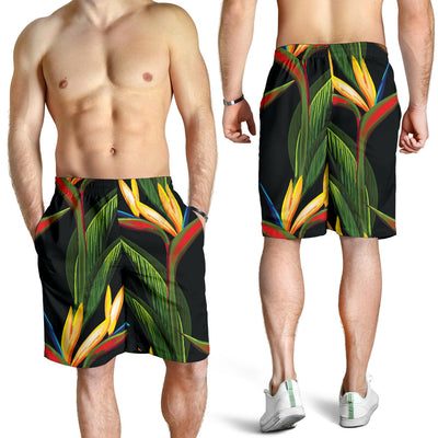 Bird Of Paradise Pattern Print Design BOP012 Mens Shorts