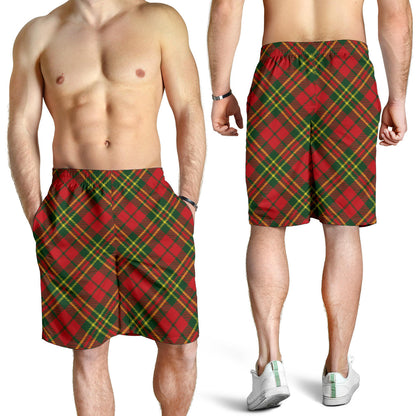 Plaid Holiday Pattern Print Design A01 Mens Shorts