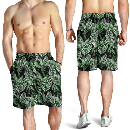 Palm Leaves Pattern Print Design PL09 Mens Shorts