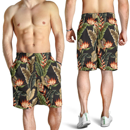 Tropical Flower Pattern Print Design TF014 Mens Shorts