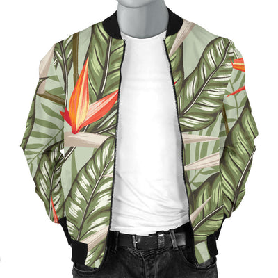 Bird Of Paradise Pattern Print Design BOP08 Men Bomber Jacket