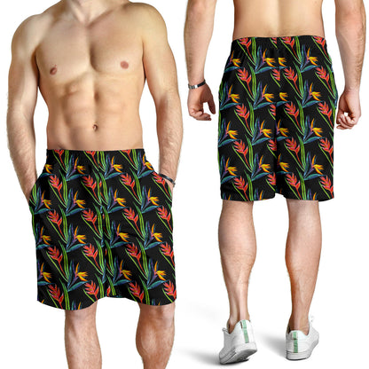 Heliconia Pattern Print Design HL04 Mens Shorts