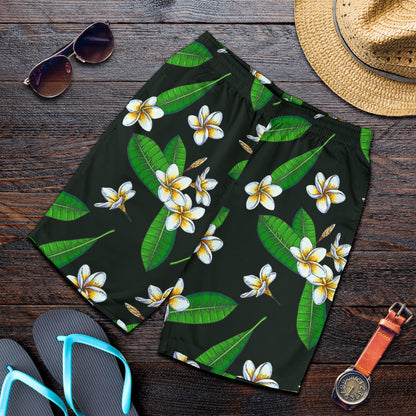 White Plumeria Pattern Print Design PM023 Mens Shorts