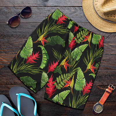 Bird Of Paradise Pattern Print Design BOP010 Mens Shorts