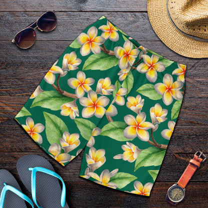 Plumeria Pattern Print Design PM07 Mens Shorts