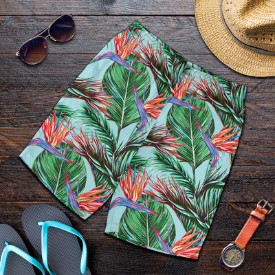 Bird Of Paradise Pattern Print Design BOP01 Mens Shorts