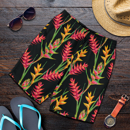 Heliconia Pattern Print Design HL01 Mens Shorts