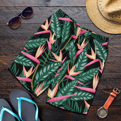 Bird Of Paradise Pattern Print Design BOP03 Mens Shorts