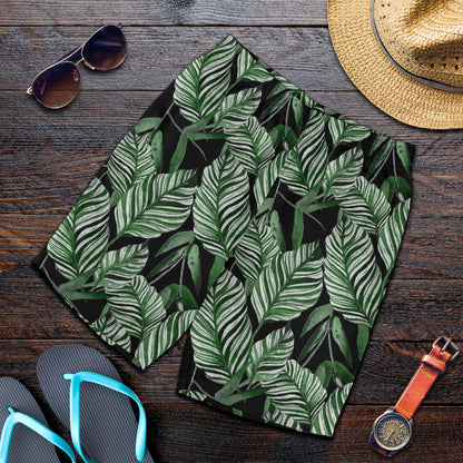 Palm Leaves Pattern Print Design PL09 Mens Shorts